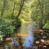 Review photo of Whittaker Creek Recreation Site by Patrick C., July 21, 2022