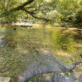 Review photo of Whittaker Creek Recreation Site by Patrick C., July 21, 2022