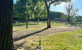 Corrie's photo of camping with pets at Miles City KOA in Montana