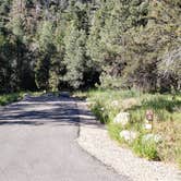 Review photo of Upper Lehman Creek Campground — Great Basin National Park by Dexter I., July 21, 2022