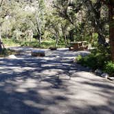 Review photo of Upper Lehman Creek Campground — Great Basin National Park by Dexter I., July 21, 2022