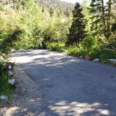 Review photo of Upper Lehman Creek Campground — Great Basin National Park by Dexter I., July 21, 2022