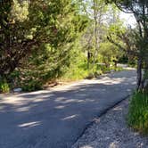 Review photo of Upper Lehman Creek Campground — Great Basin National Park by Dexter I., July 21, 2022