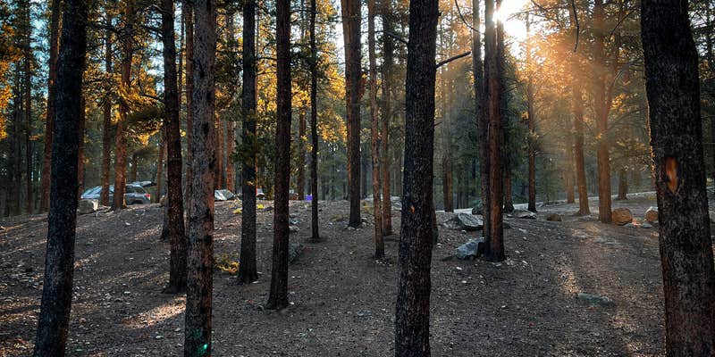 Camper submitted image from Halfmoon East — Psicc