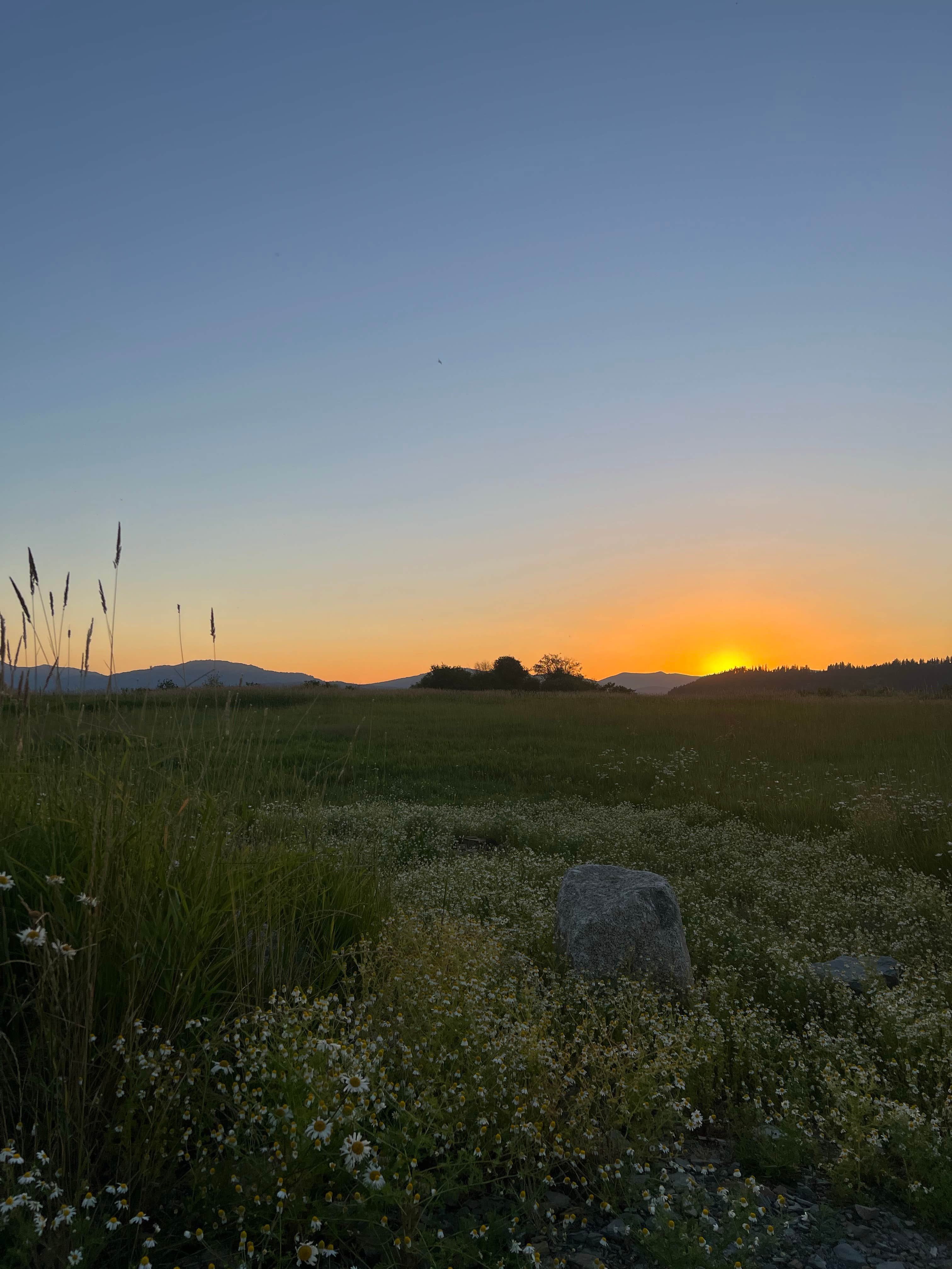 Camping near Clark Fork River Driftyard: Clark Fork Drift Yard, Clark Fork, Idaho