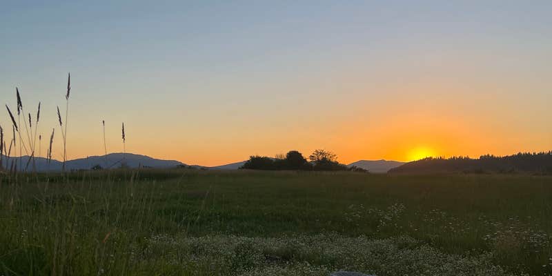 Camper submitted image from Clark Fork Drift Yard