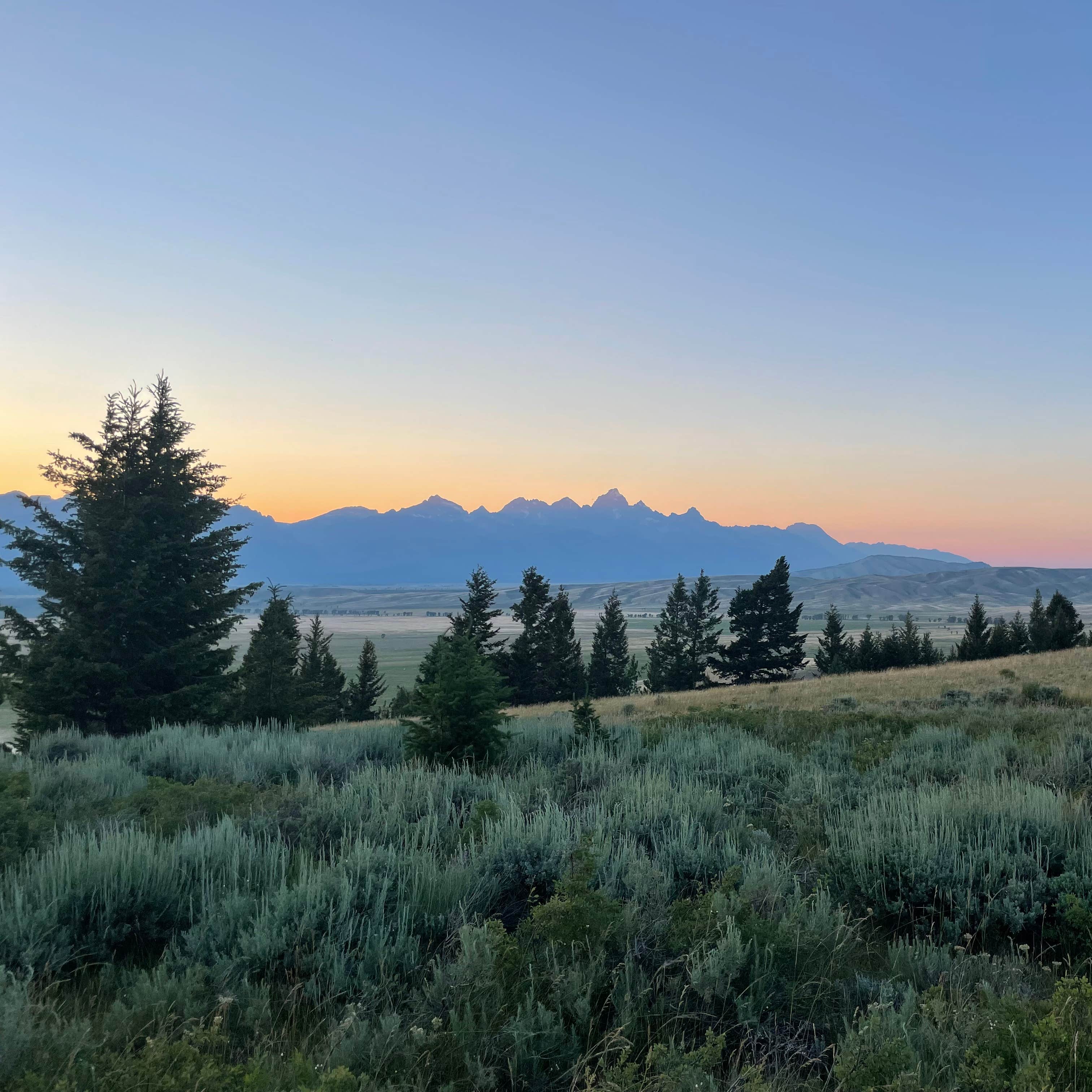 Curtis Canyon Campground Jackson, WY