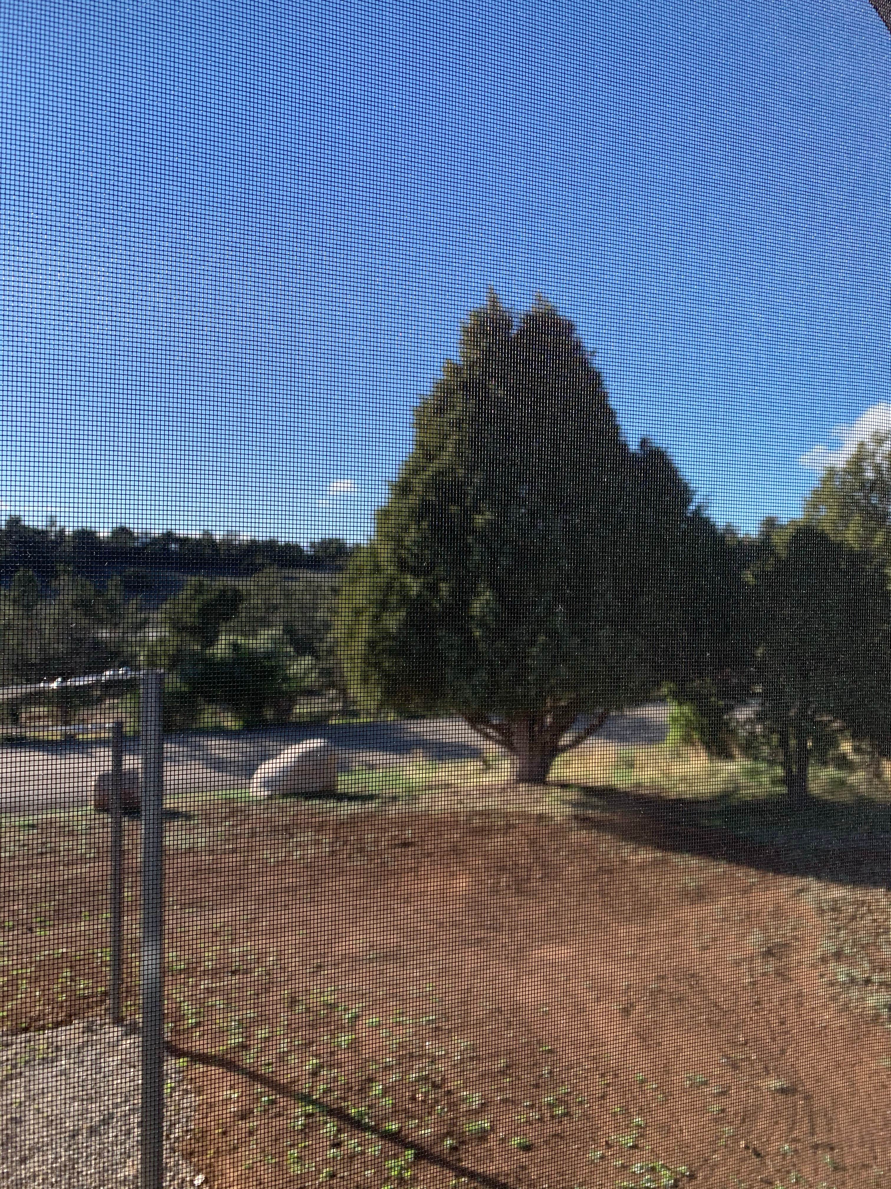 Camper-submitted photo at The Views RV Park & Campground near Shiprock, NM