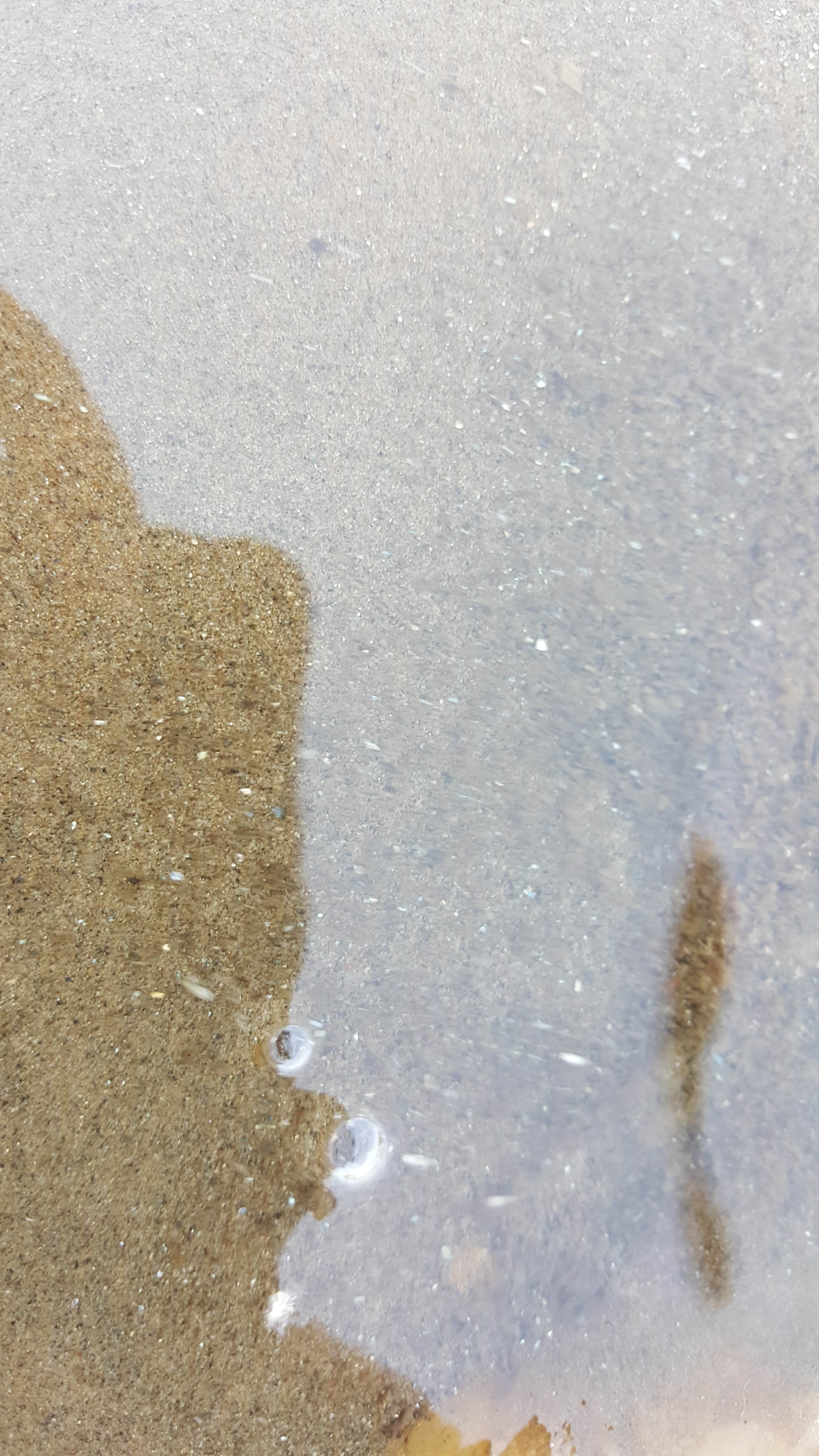 Camper-submitted photo at Pick Bridge Road near Saratoga, WY