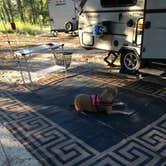 Review photo of Cape Henlopen State Park Campground by Greg A., July 20, 2018