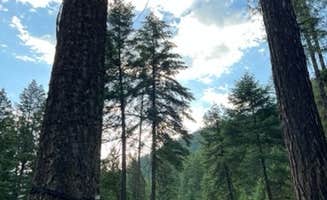Tate W.'s photo at Dalles near Hamilton, MT