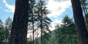 Camper submitted image from Dalles