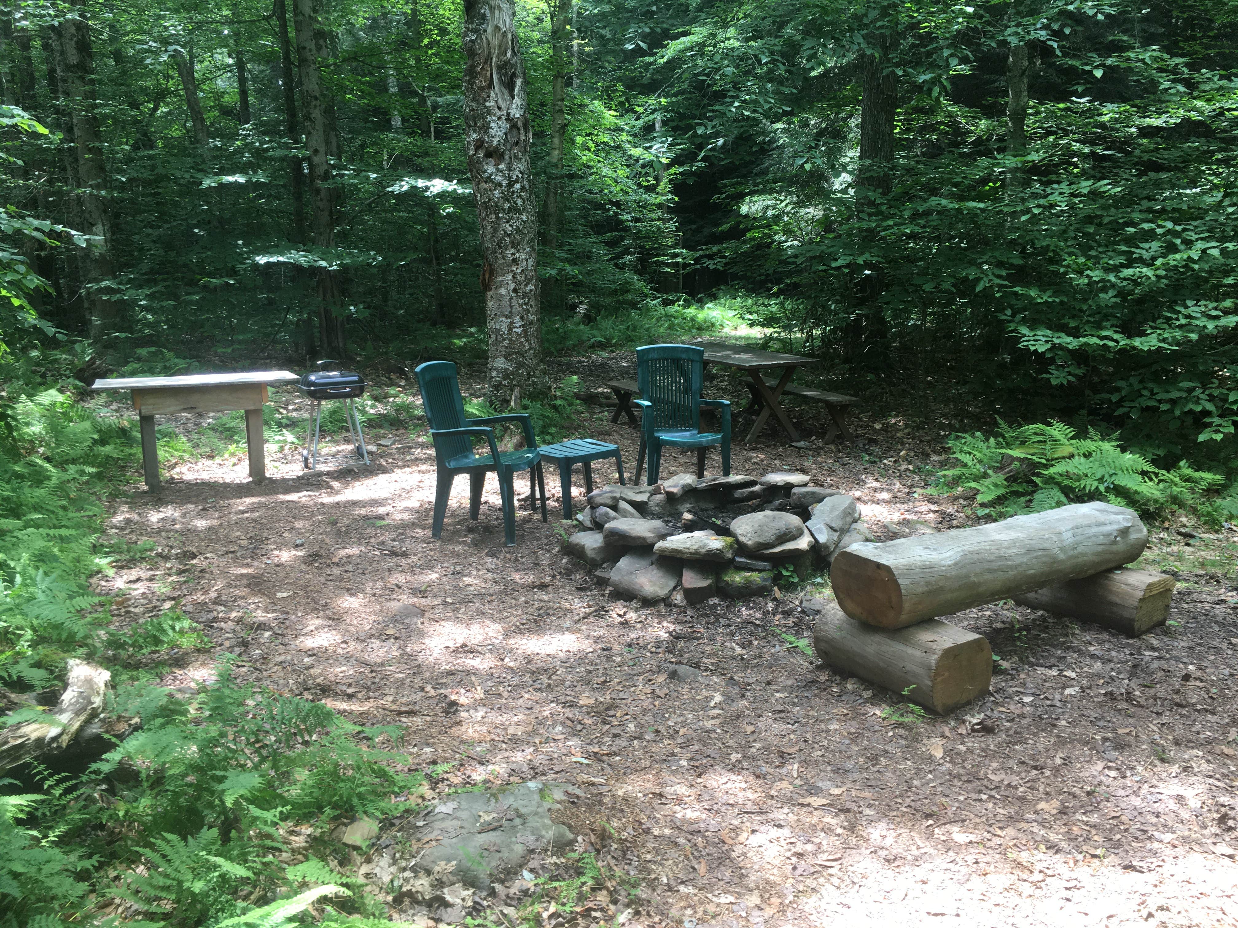 Mike R.'s photo at Blue Wind Nature Camp in New York