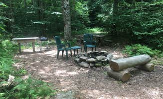 Mike R.'s photo at Blue Wind Nature Camp near Roscoe, NY