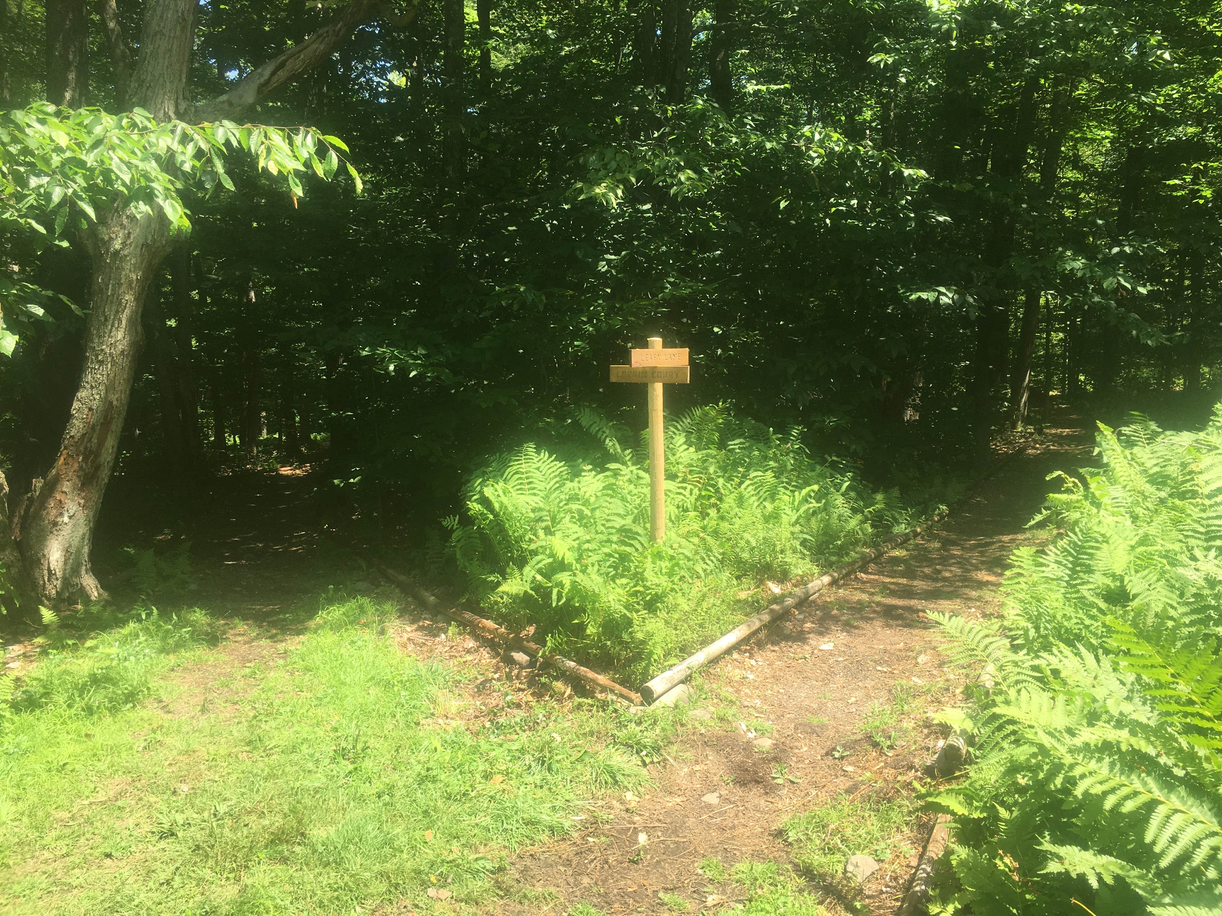 Camper-submitted photo at Blue Wind Nature Camp near Roscoe, NY