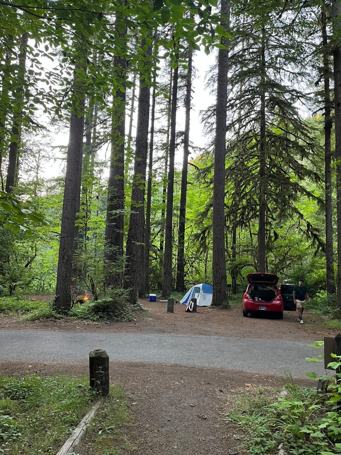 Camper submitted image from Trout Creek - 5