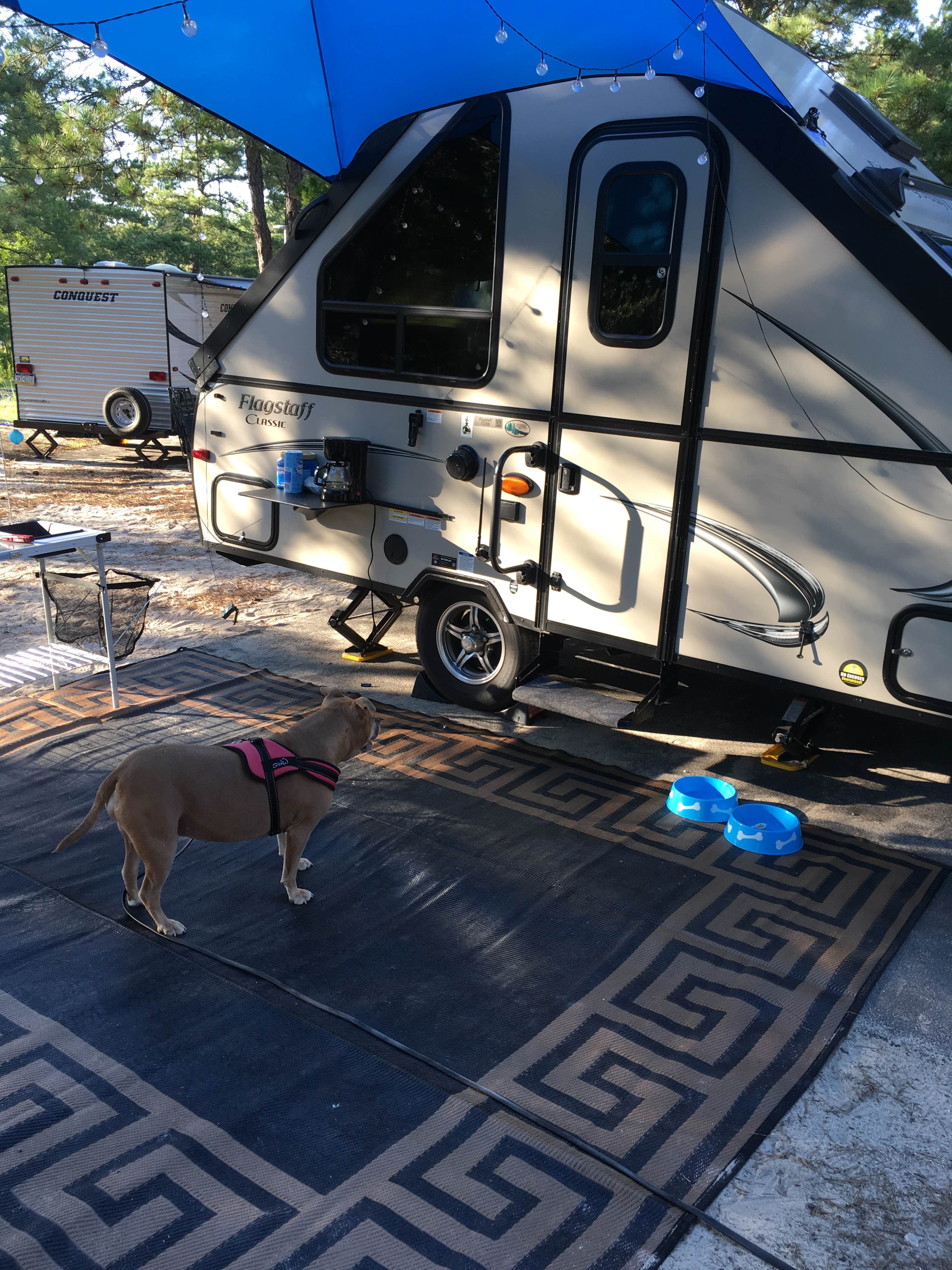 Greg A.'s photo of rv camping at Cape Henlopen State Park Campground in Delaware