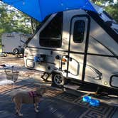 Review photo of Cape Henlopen State Park Campground by Greg A., July 20, 2018