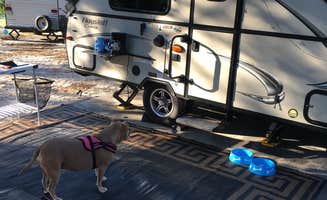 Greg A.'s photo of rv camping at Cape Henlopen State Park Campground in Delaware