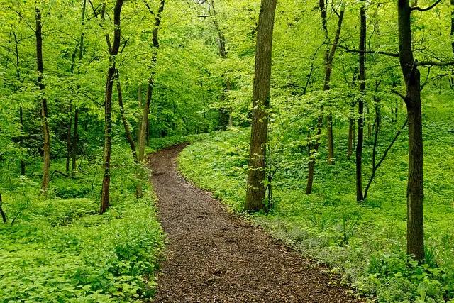 Camper-submitted photo at Blue Wind Nature Camp near Roscoe, NY