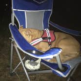 Review photo of Cape Henlopen State Park Campground by Greg A., July 20, 2018