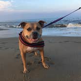 Review photo of Cape Henlopen State Park Campground by Greg A., July 20, 2018