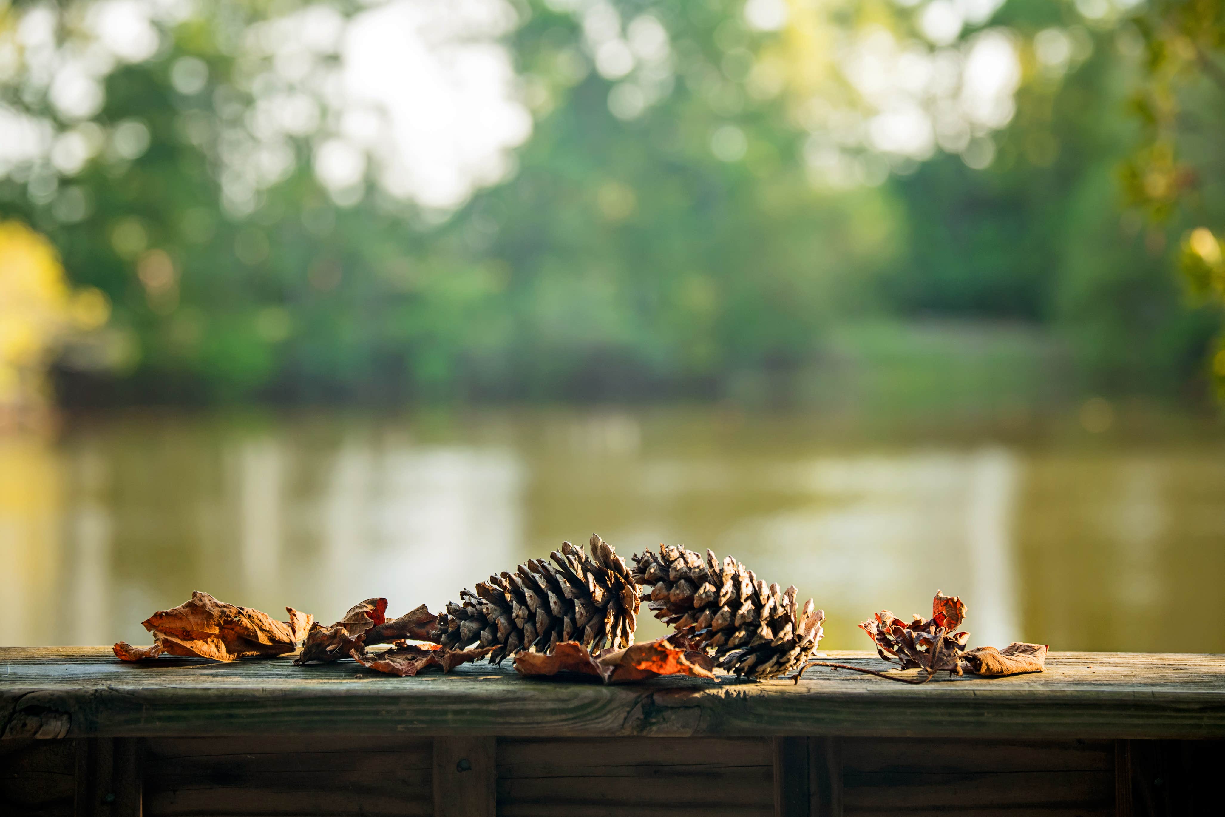 Camper-submitted photo at Hideaway RV Park near Pawleys Island, SC
