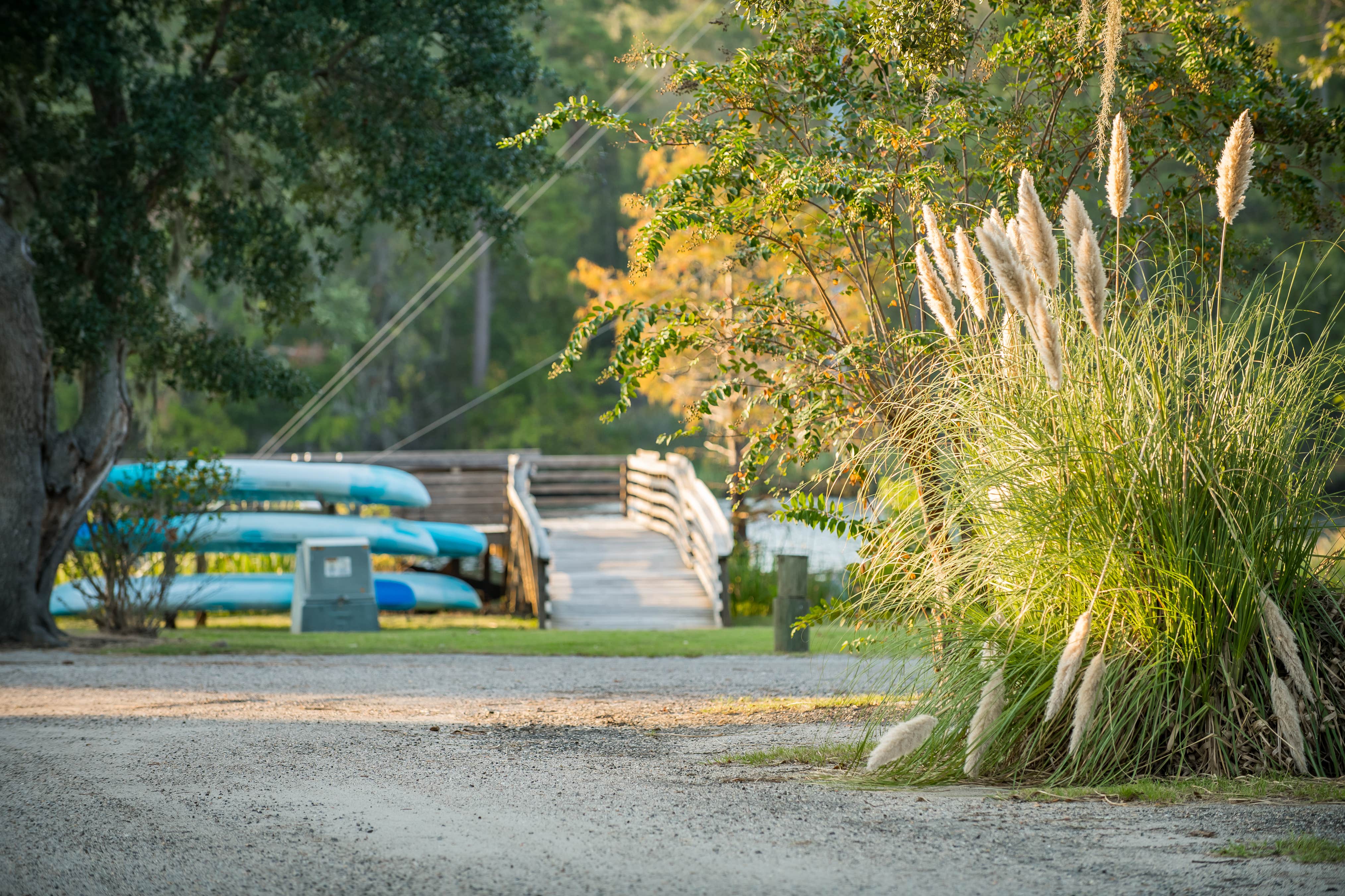 Camper-submitted photo at Hideaway RV Park near Pawleys Island, SC