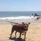 Review photo of Cape Henlopen State Park Campground by Greg A., July 20, 2018