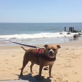 Review photo of Cape Henlopen State Park by Greg A., July 20, 2018
