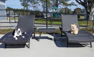 AOS M.'s photo of camping with pets at Hideaway RV Park near North Myrtle Beach, SC