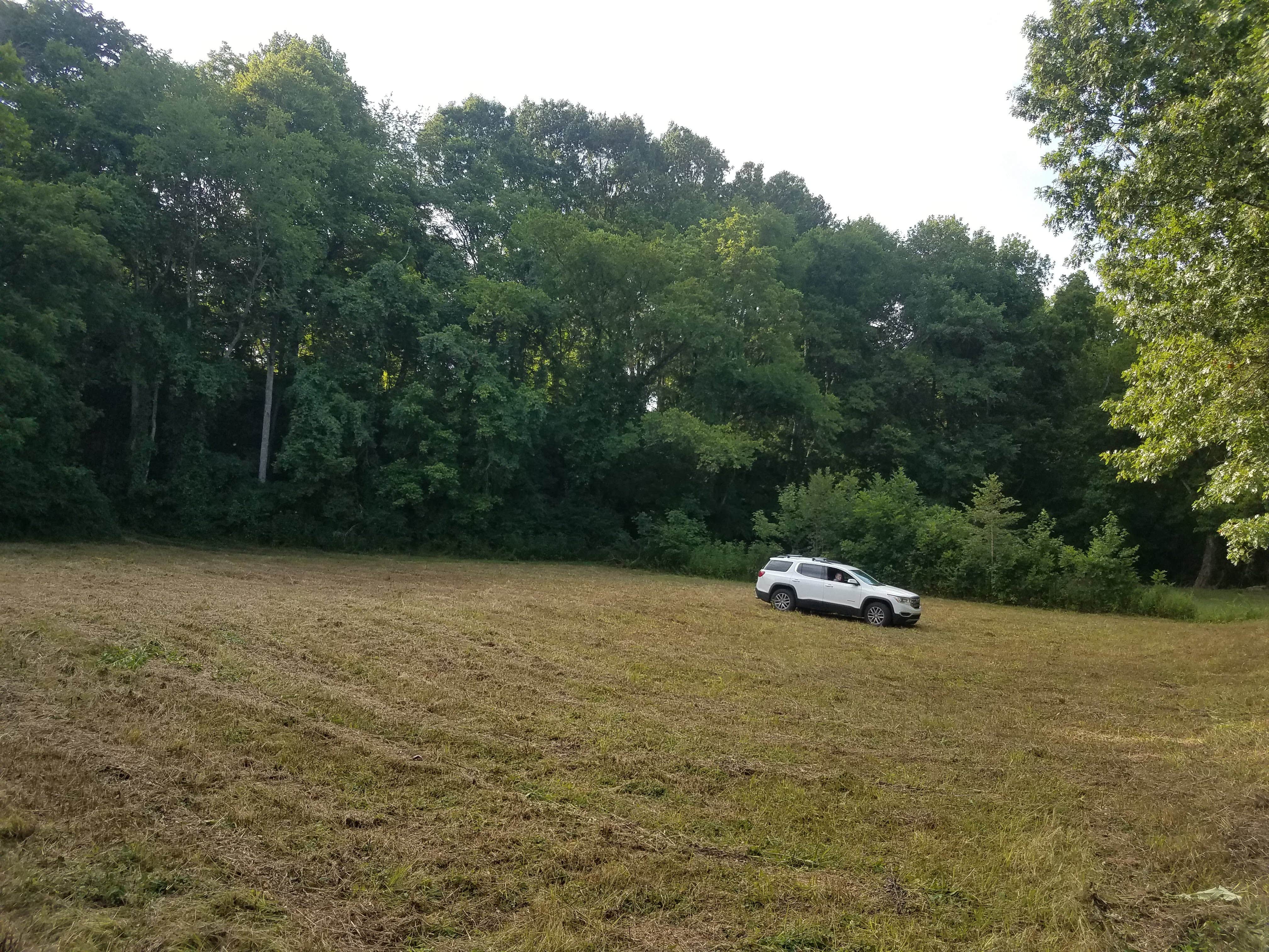 Camper-submitted photo at River Rebels, Buffalo River Outpost near Linden, TN