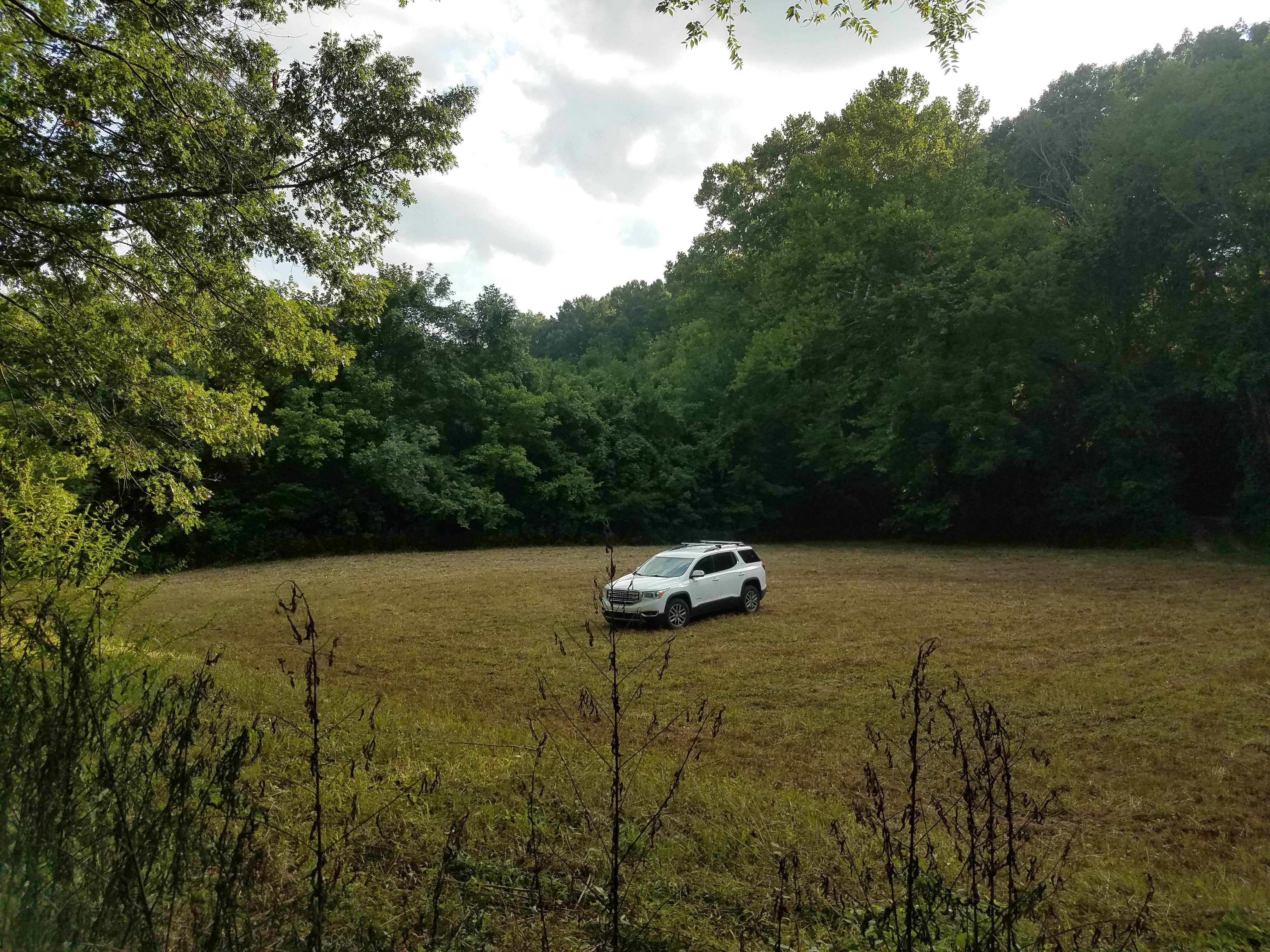 Camper-submitted photo at River Rebels, Buffalo River Outpost near Linden, TN