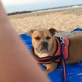 Review photo of Cape Henlopen State Park Campground by Greg A., July 20, 2018