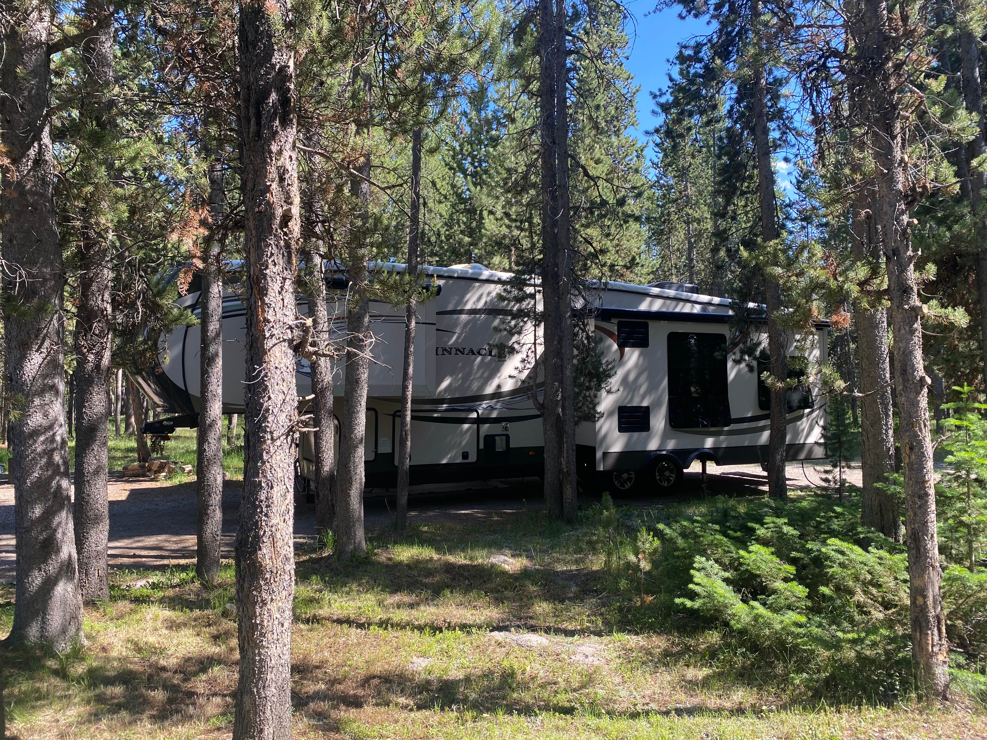 Toni S.'s photo at Bakers Hole Campground near West Yellowstone, MT