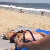 Review photo of Cape Henlopen State Park Campground by Greg A., July 20, 2018
