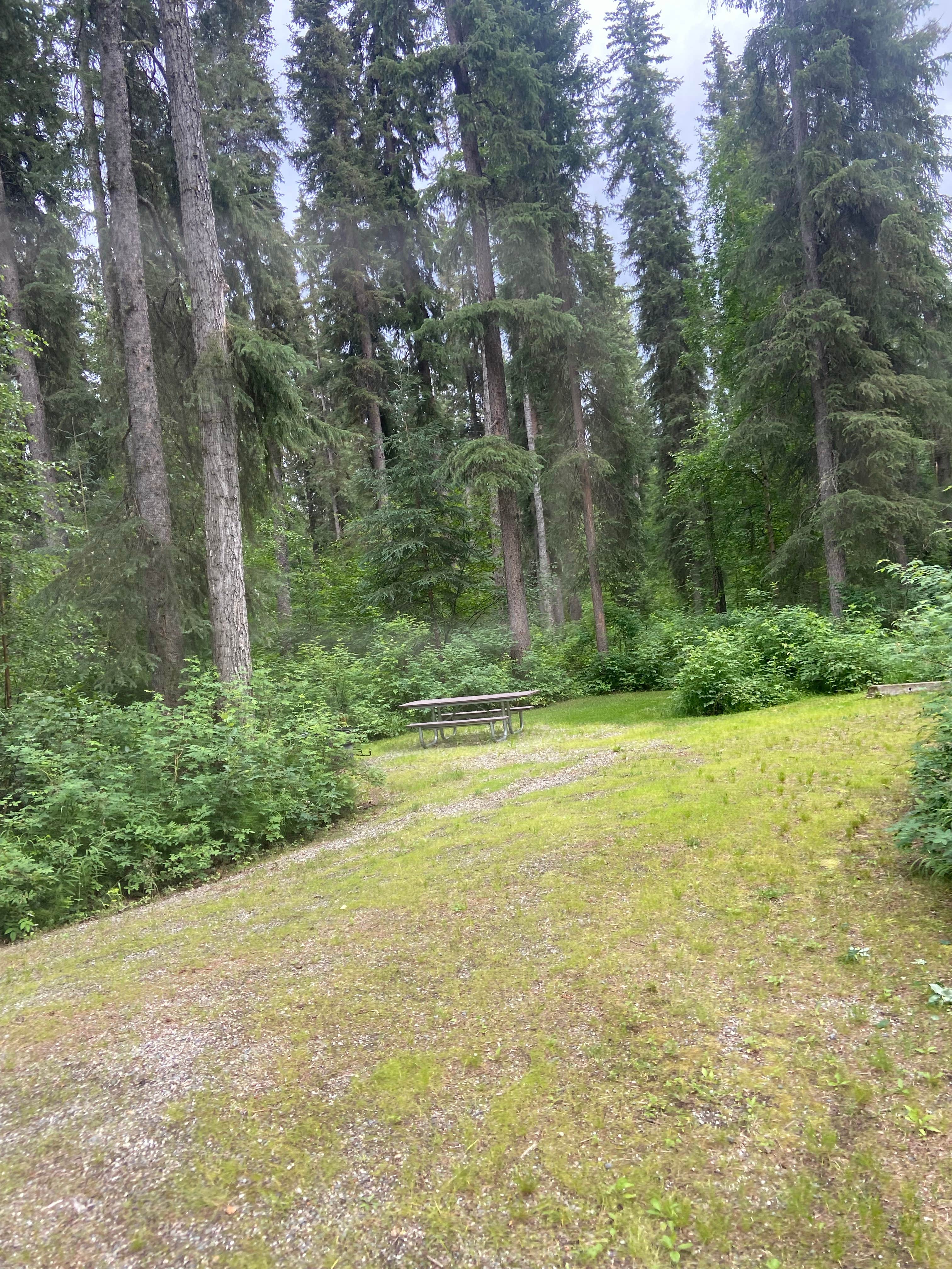 Camping near Cripple Creek Campground: Granite Tors Campground, Eielson AFB, Alaska
