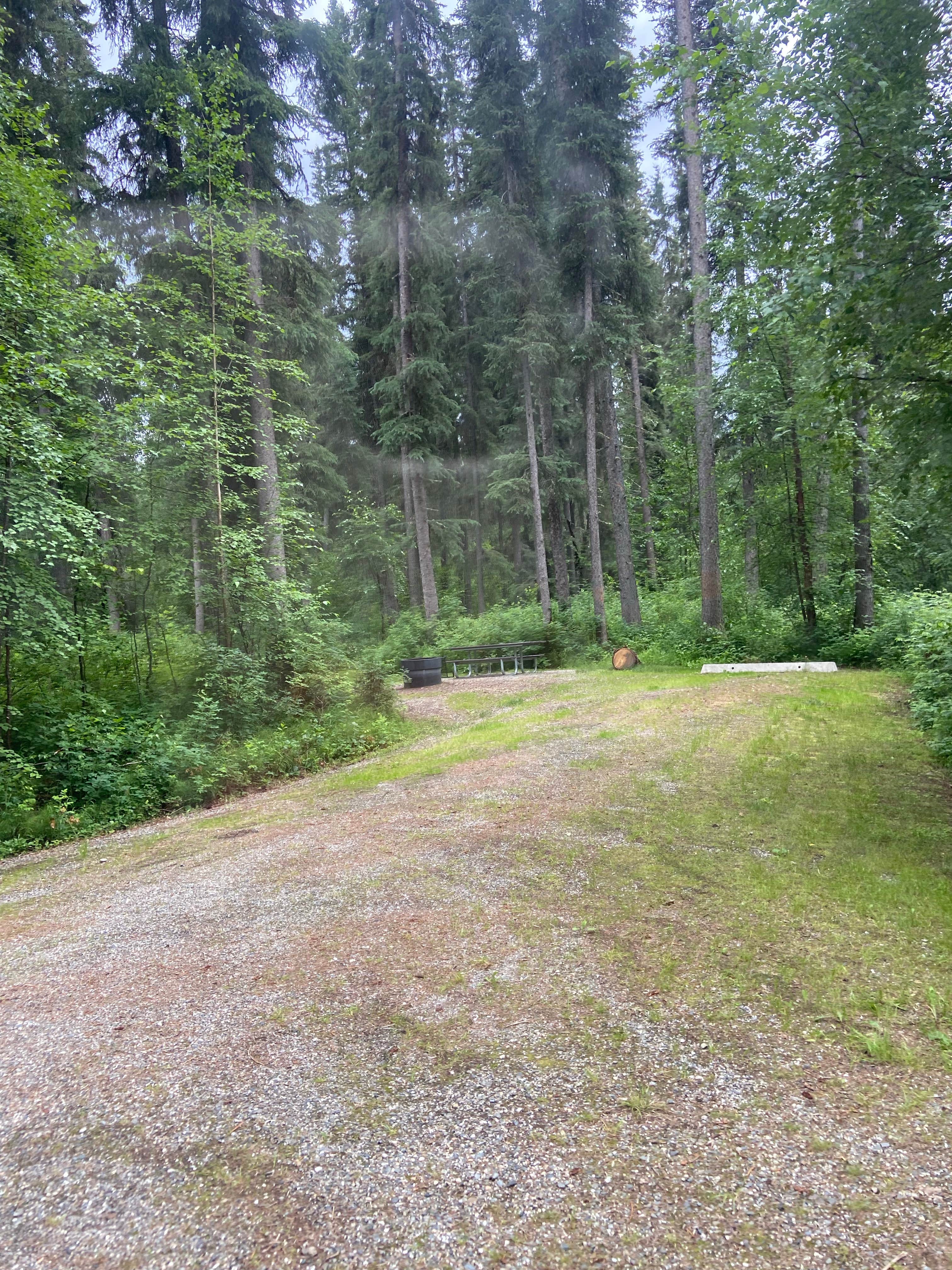 Camper submitted image from Granite Tors Campground - 2