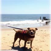Review photo of Cape Henlopen State Park Campground by Greg A., July 20, 2018