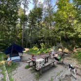 Review photo of Brown Mountain Roadside Campsites by Jaren E., July 21, 2022