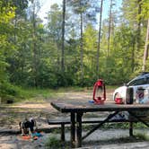 Review photo of Brown Mountain Roadside Campsites by Jaren E., July 21, 2022