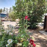 Review photo of Holloway's Marina & RV Park by Linda A., July 21, 2022