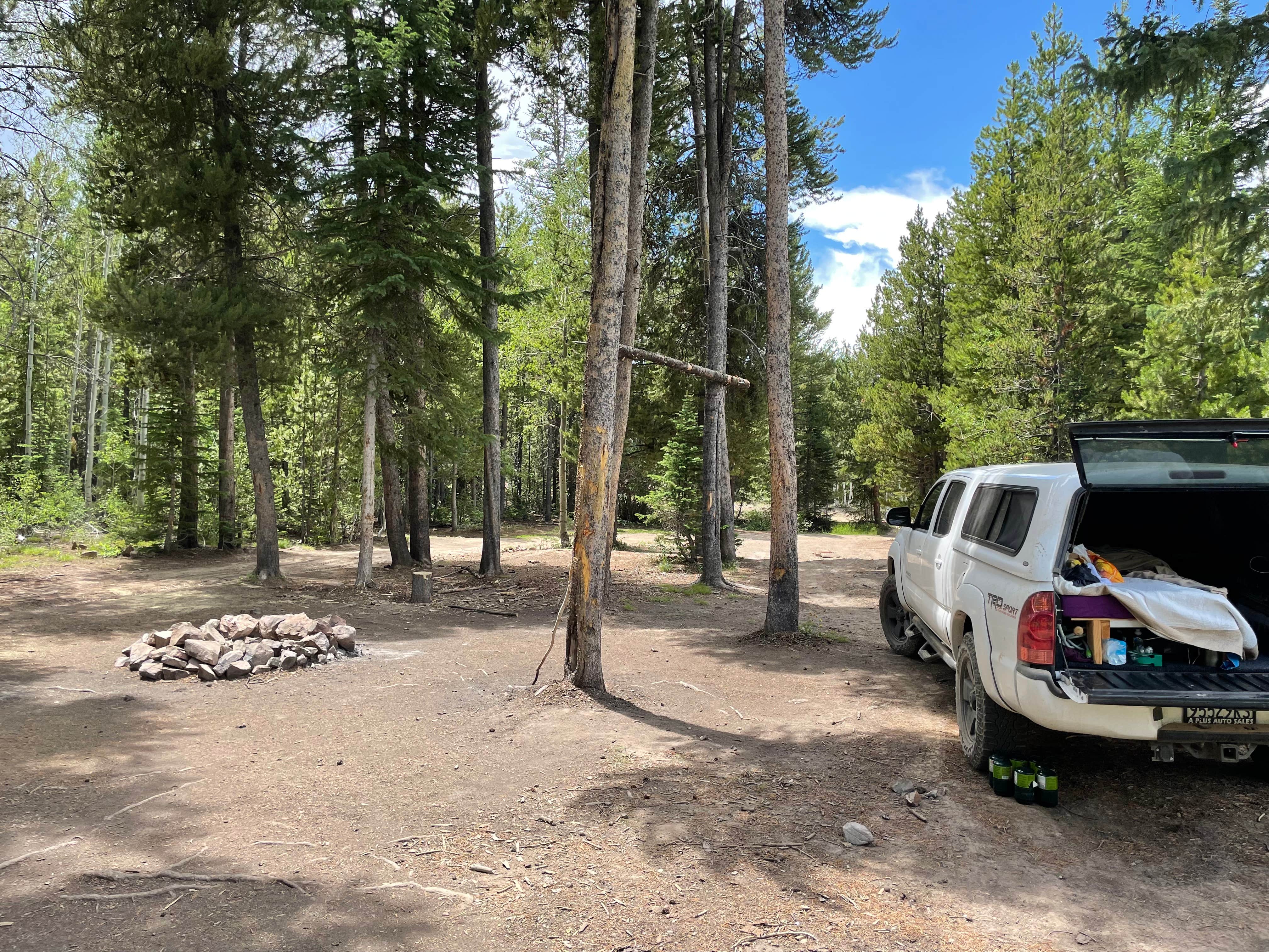 Camping near Trailhead Cabins And Lodging: Yellowjacket Pass, Meeker, Colorado