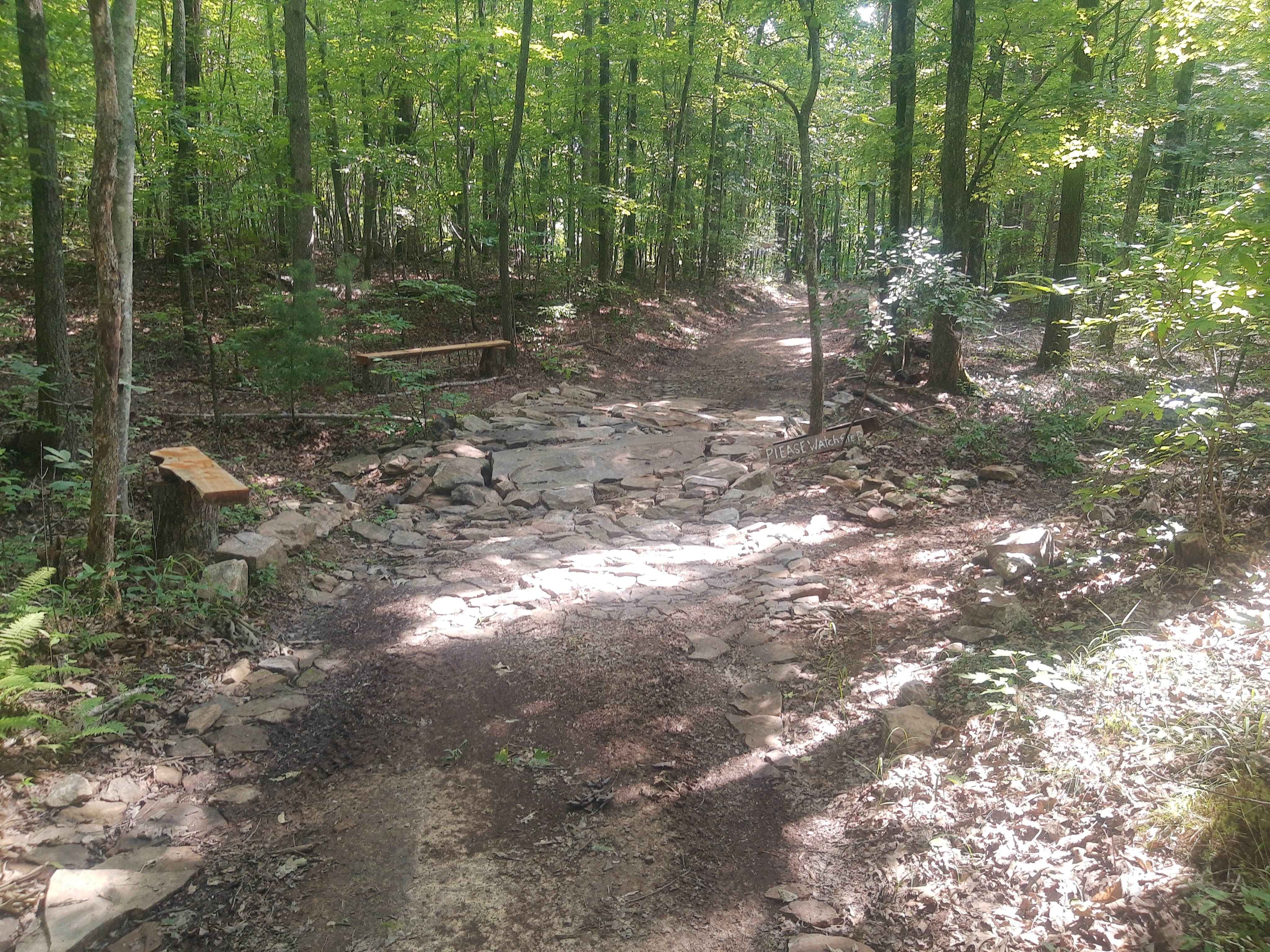 Camper-submitted photo at Awakening Adventures near Spring City, TN