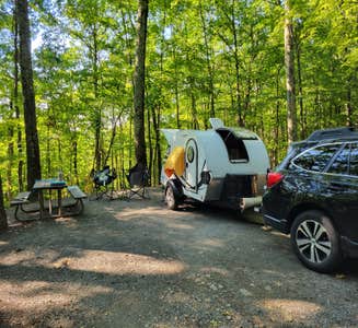 Camper-submitted photo from Catskill/Kenneth L Wilson Campground