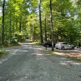 Review photo of Swartswood State Park Campground by Justin P., July 22, 2022