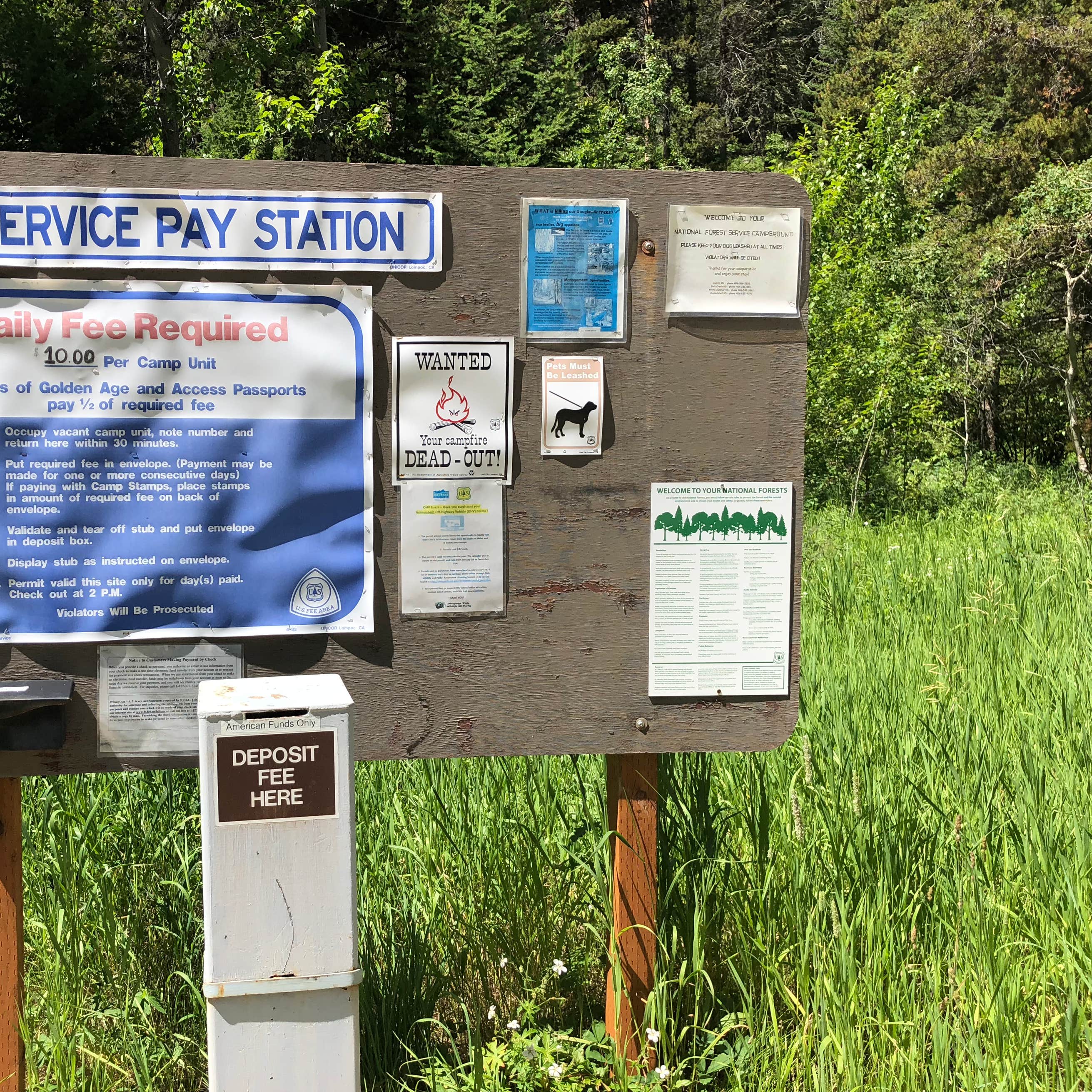 Deadmans Basin Camping The Dyrt