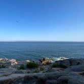 Review photo of Blackwoods Campground — Acadia National Park by Matthew , July 22, 2022