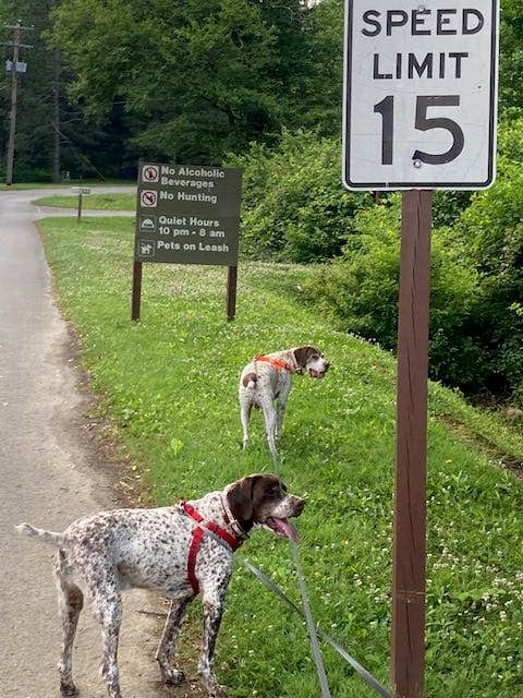 MickandKarla W.'s photo of camping with pets at Tionesta Rec. Area Campground near Rouseville, PA