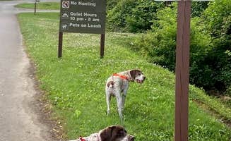MickandKarla W.'s photo of camping with pets at Tionesta Rec. Area Campground near Rouseville, PA